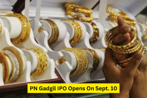 PN Gadgil IPO Opens On Sept. 10: From Issue Price To Financials, All You Need To Know